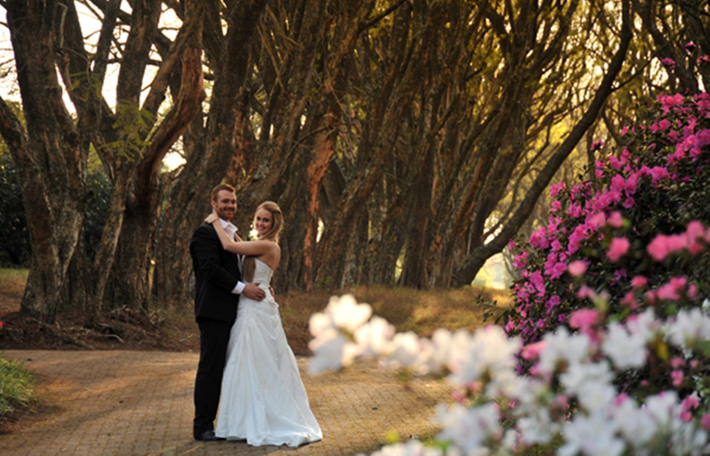 Highgrove House Country Hotel, Restaurant, Farm & Spa Kiepersol Dış mekan fotoğraf